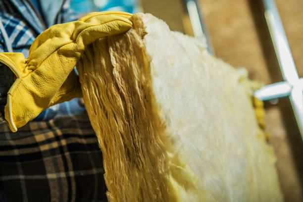 Best Specialized Insulation Services in Lorenz Park, NY