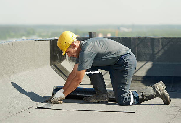 Best Eco-Friendly Insulation in Lorenz Park, NY